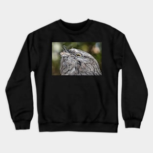 Tawny Frogmouth Resting Crewneck Sweatshirt